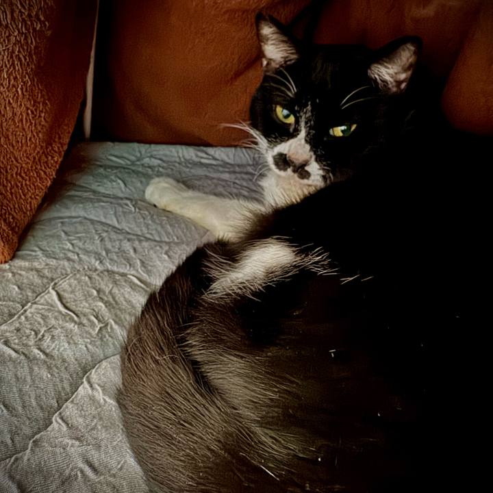 F2dbe17a ad02 4502 b1c3 4228582721df 1737771913779