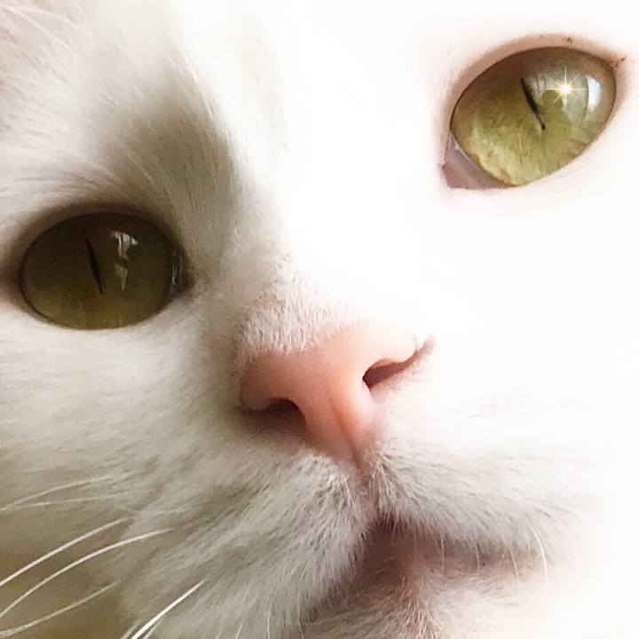 F2dbe1d2 3b15 437c 90e5 e27bbb33fbc2 1576841393448