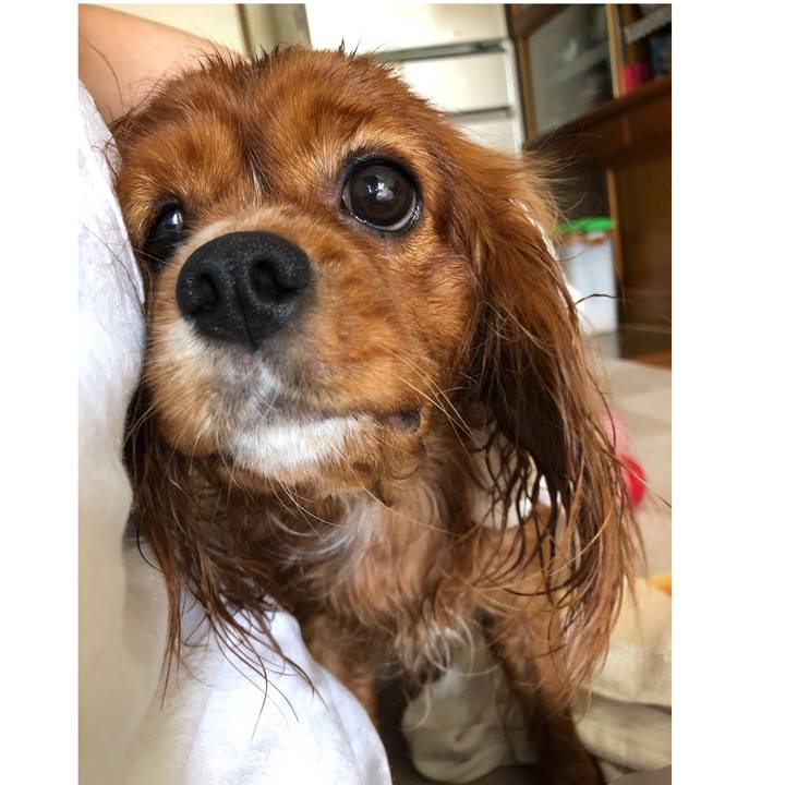 F2dbf6a2 44c2 4680 aa38 662896e13bac 1598662105802