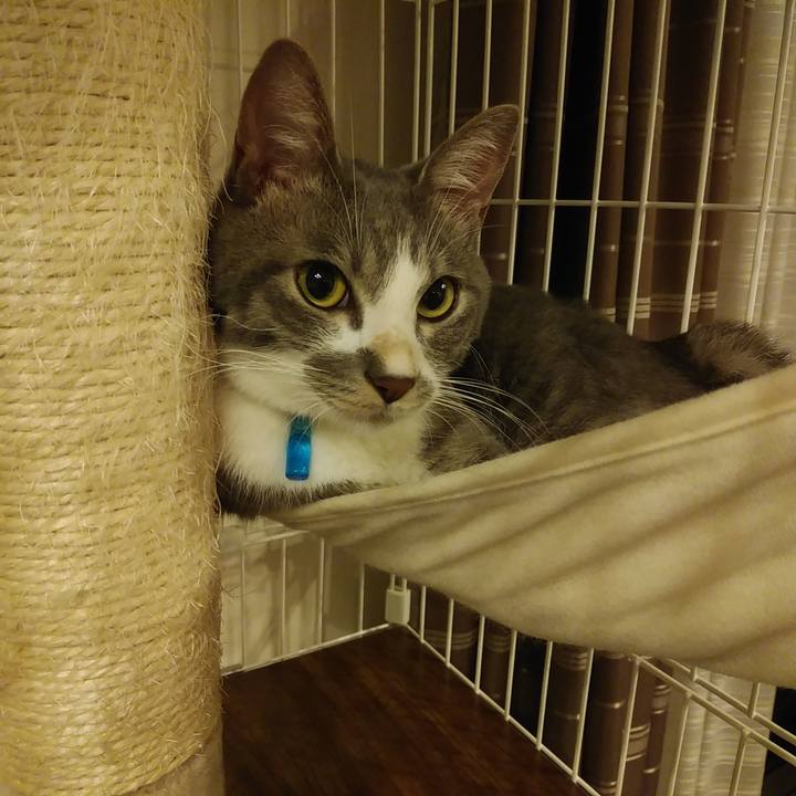 F2dc40fc c0ed 4f67 b74c 07130b62d4f3 1595171568256