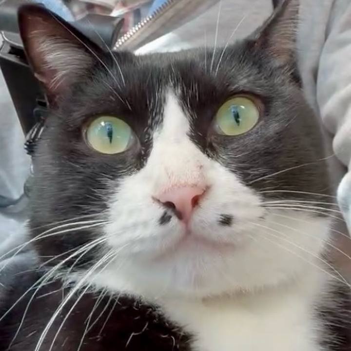 F2dc4bfd 8bb9 4e09 9ea6 4dbb021ec12e 1762153794663