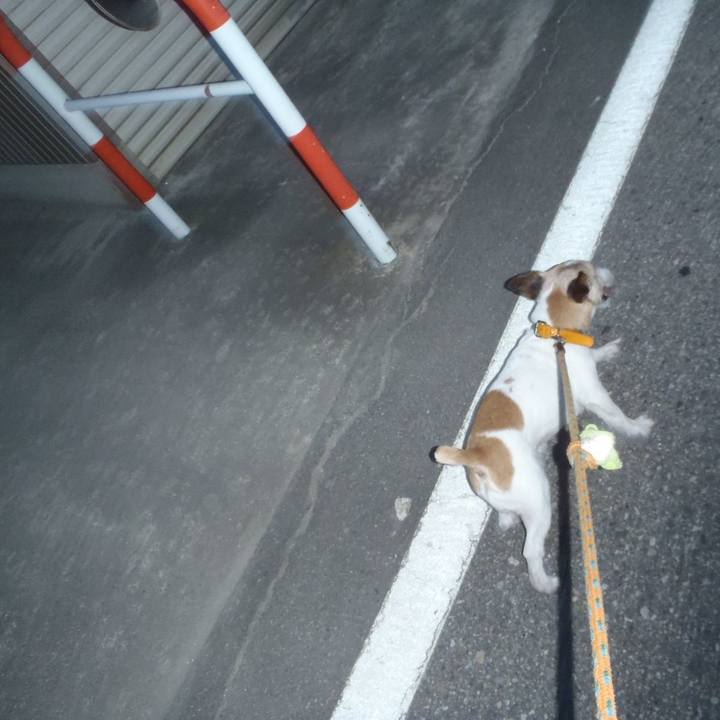 F2dc50b3 b60f 4d6e b087 727f457c6636 1533730214767