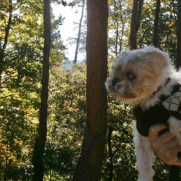 F2dc53cb eeca 48d0 be54 ef60727c12e3 1668757178298