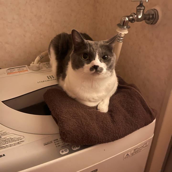 F2dc72f3 c1a5 465a 8269 cdd07f06d8a7 1752235383590