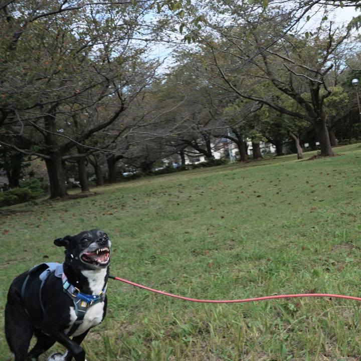 F2dc7958 8b8e 4a3e a1a0 c3a9aec10e64 1761295461541