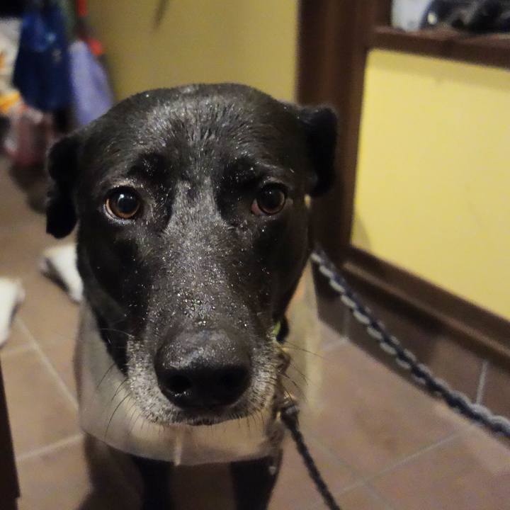 F2dcb48b 2878 4555 b996 df81ca94bfeb 1651229275128