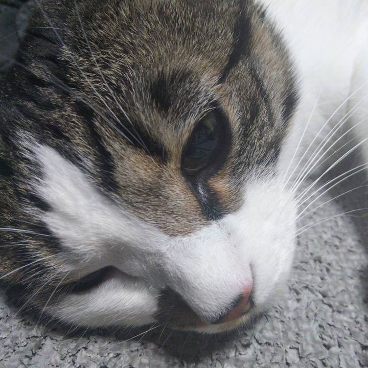 F2dcb630 d294 46df 807f c09e289092eb 1653744943536