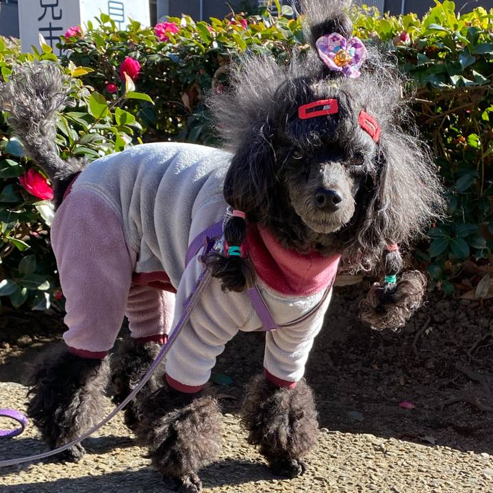 F2dcb719 8fbb 4d04 adf4 db445d6daedf 1672753578075