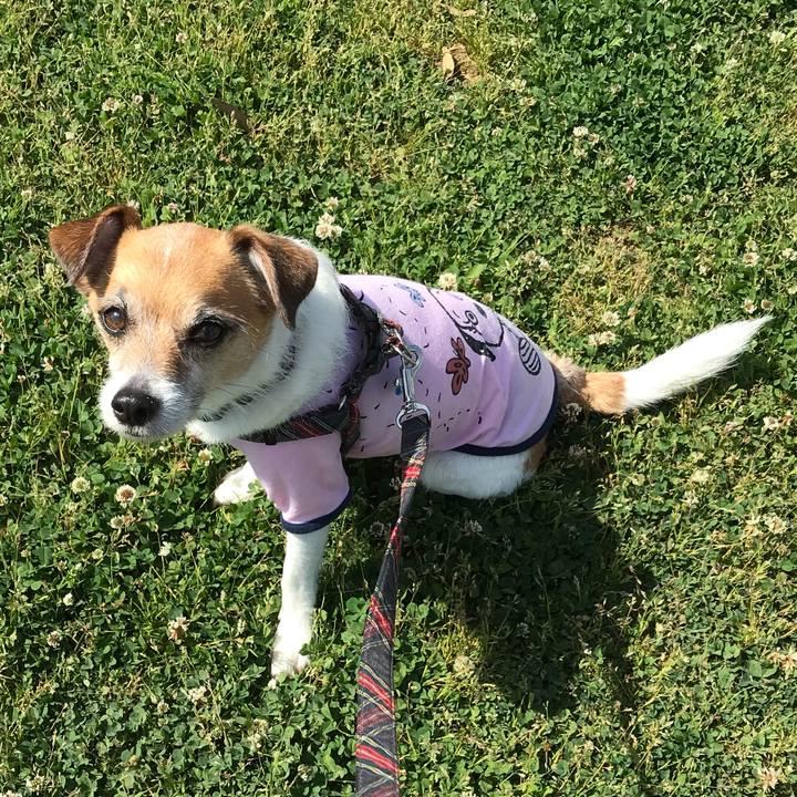 F2dcb9f7 ce56 4f13 997b a81403aae153 1557976889349