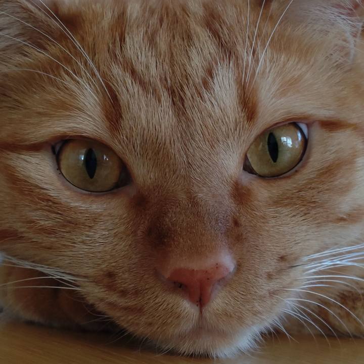 F2dcc04c 75e2 4110 8fdc 17925c1ba628 1632576646048