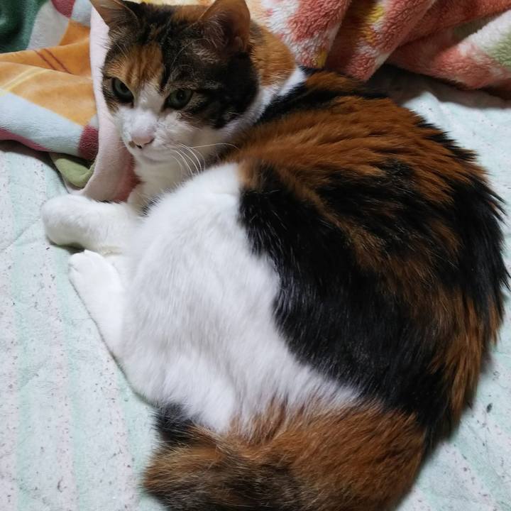 F2dccbc8 0cb8 43d7 946b 66757f5eac51 1555883324921