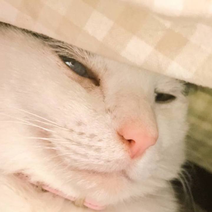 F2dcce49 5146 432a 85ed 2d97f6561b8b 1682423160458