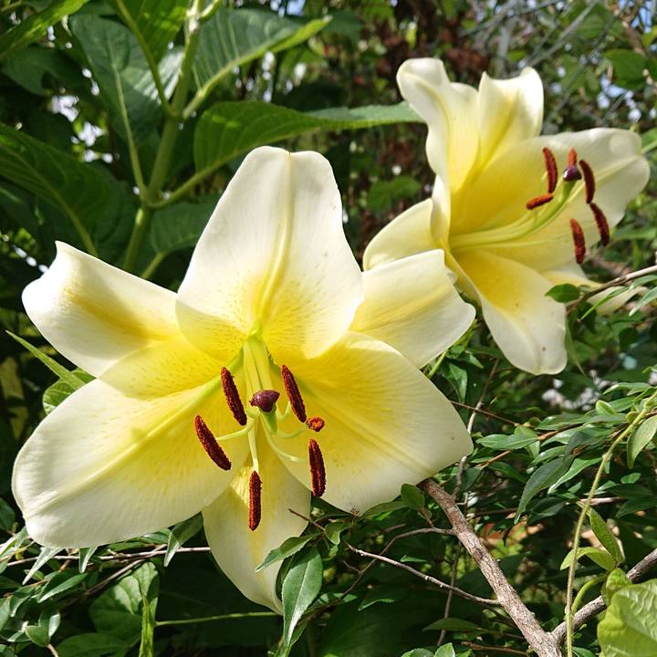 F2dd15c5 4f21 43c8 9321 5eb6245493fb 1657250705779