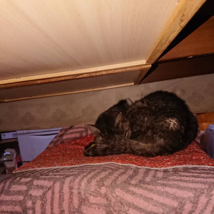 F2dd3a3b 27bd 48a9 8f05 fc1d07b94c17 1586464350214