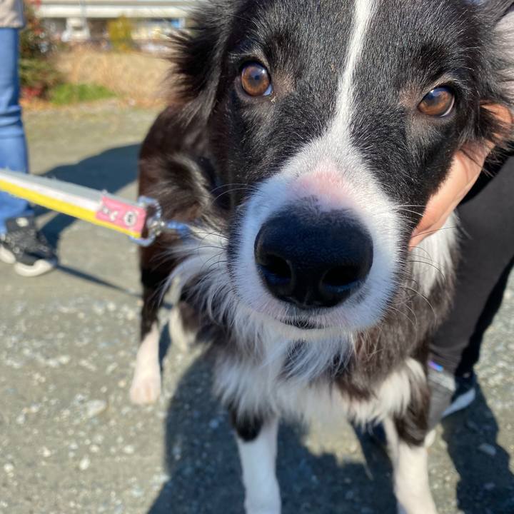 F2dd4e9b ac56 4ec0 8f11 ee55f05ca50f 1640404269068