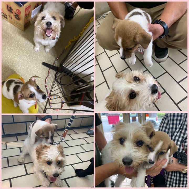 F2dd506e e1a0 46e1 a6e7 d67576af719b 1594029384656