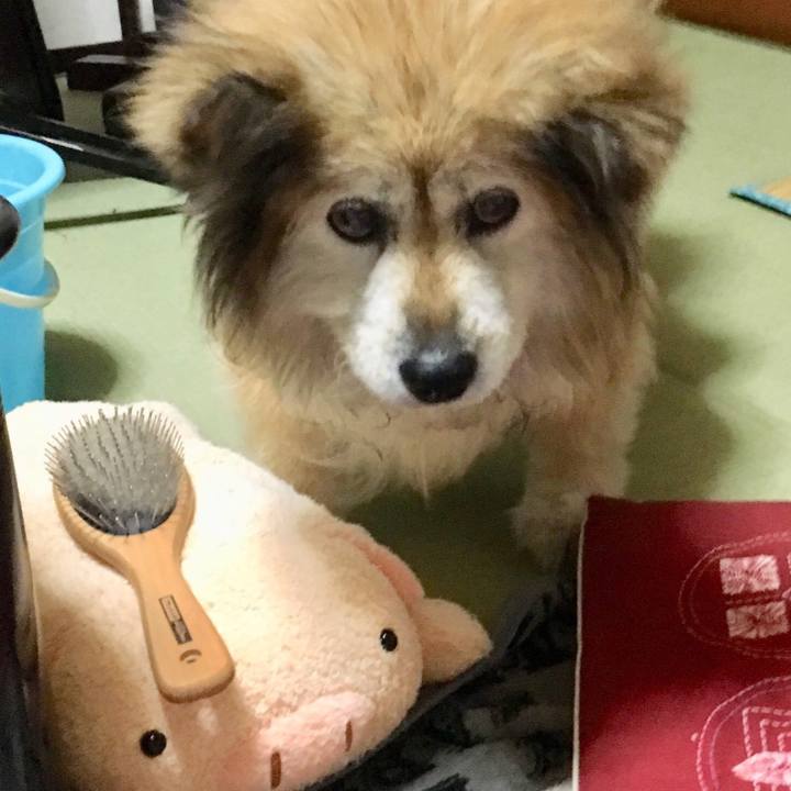 F2dd5c34 4e86 4473 b868 f982bae39164 1606451605934