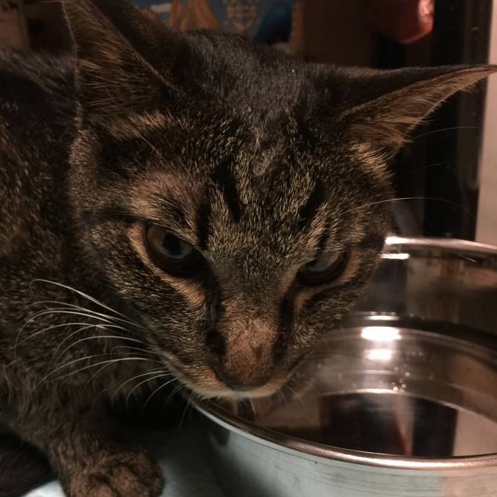 F2dd65cd 5c76 41bf b789 f726605c927a 1534364916921