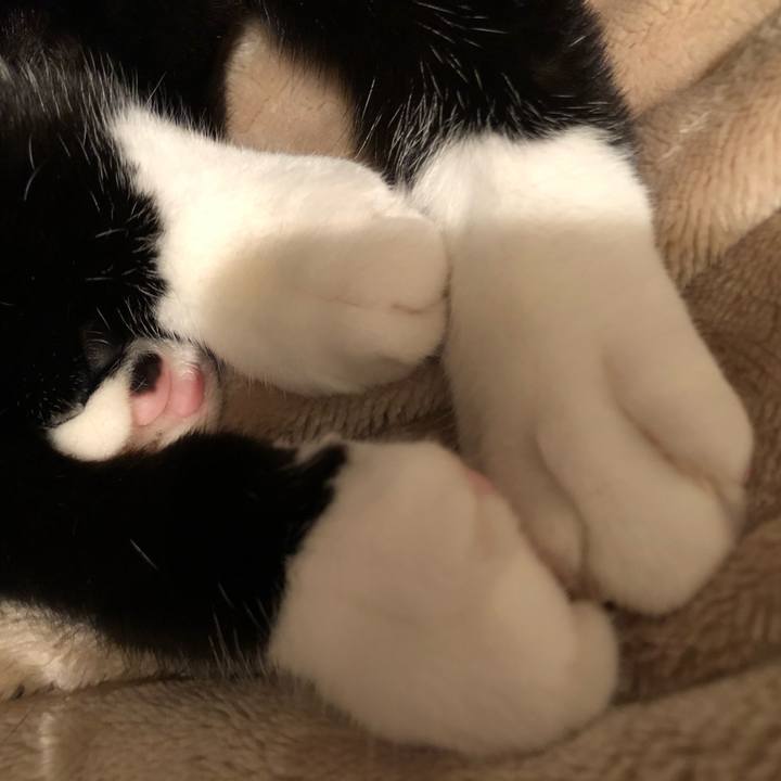 F2dd6f42 afec 45c3 aee7 6d843c701e25 1587862906487