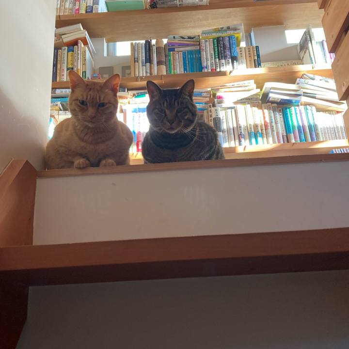 F2dd7982 9c0a 4566 a022 ec45163fa22a 1706999164350