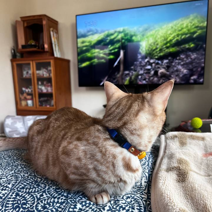 F2dd9bce 6c1e 4356 8bfd d98ab50b81ef 1716677532660