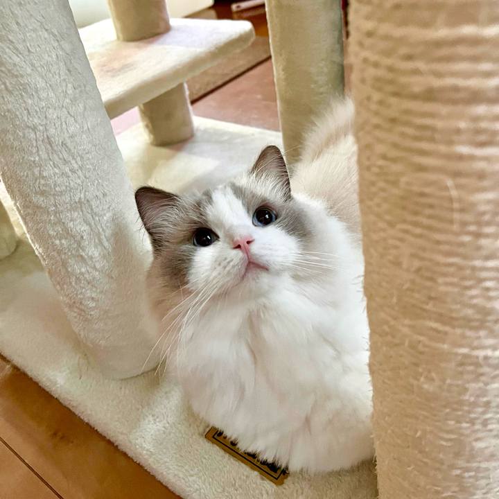 F2ddb6c1 8018 4f01 a46d a63b865a0067 1728207286039