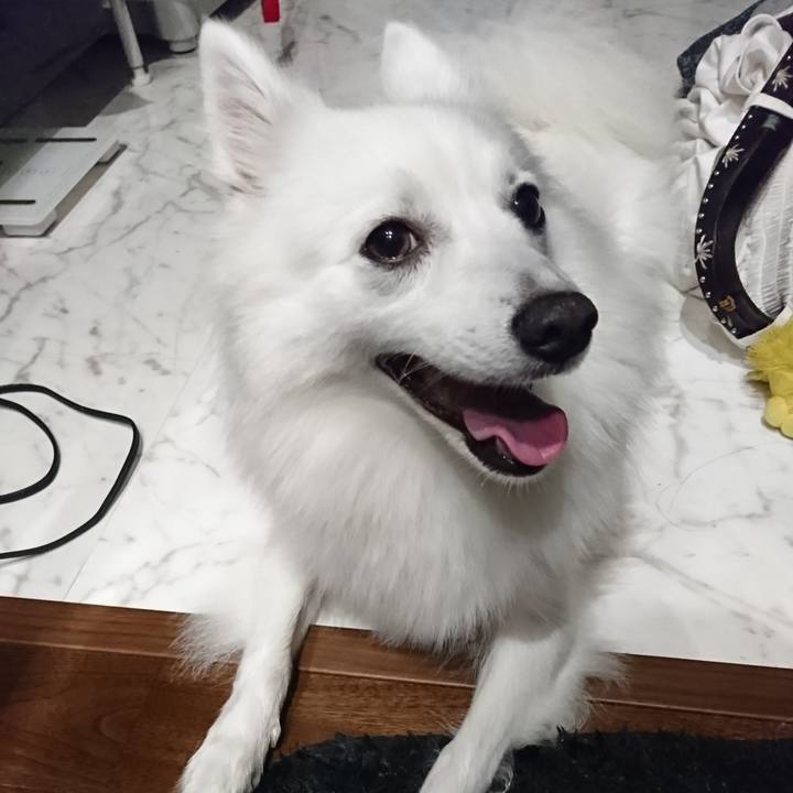 F2ddecb2 de86 445c 9ca1 7cd34538d849 1536227849144