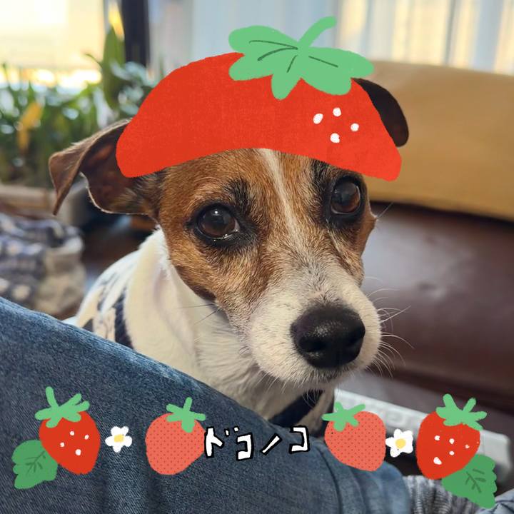 F2de1807 dc02 455f 8a9e b3d93b99c45b 1775307002903