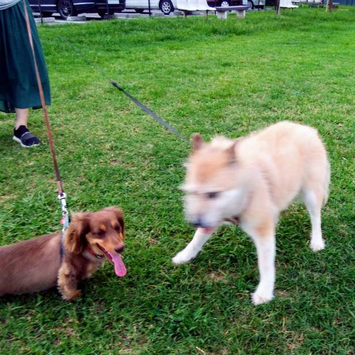 F2de4aee 847f 4466 9046 4baa66ade8ff 1598175533200