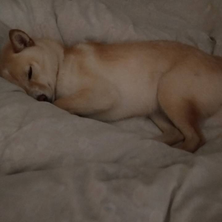 F2de5ffa fb86 4076 8b98 b9ca33602a73 1525955671252