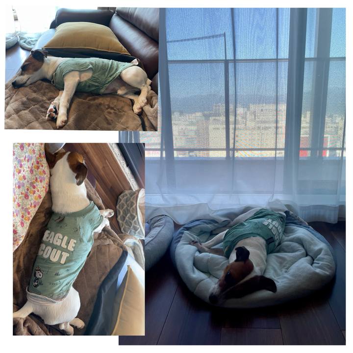 F2de618a 4238 4888 95e2 c191bbd876a2 1718780021429