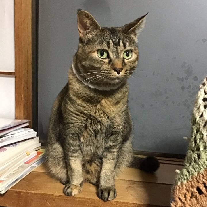 F2de6637 d7f4 4e89 9307 d029c4615065 1747908300468