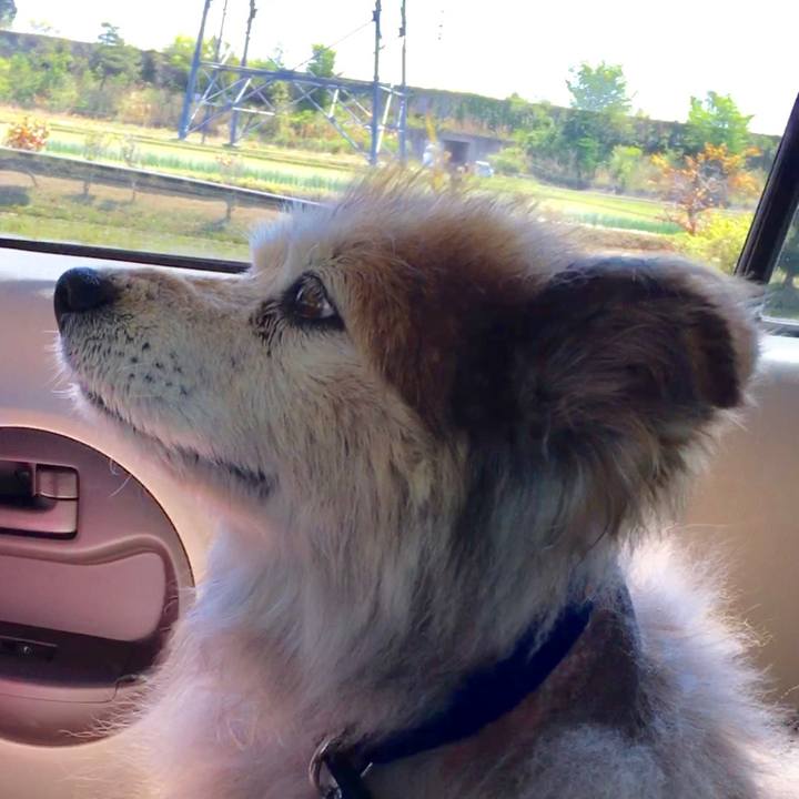 F2de79f2 1528 4f70 864f 5f52b6cac673 1574357457179