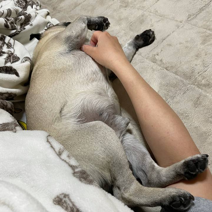 F2dea792 269f 461b b1fd 645289340eb7 1616312011388