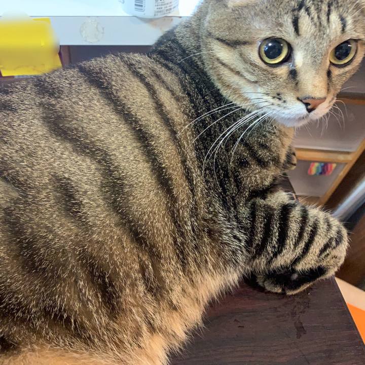 F2deba3d 0990 4405 b18d 33caa53ec2d8 1756519999326