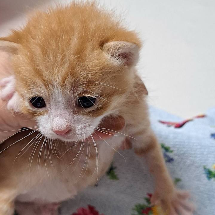 F2dec46d 81c3 4634 9b30 6eda48ae9931 1713497487361