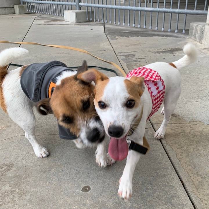 F2df03ea fff6 4e7c 87f9 d108b4c3936f 1594198799825