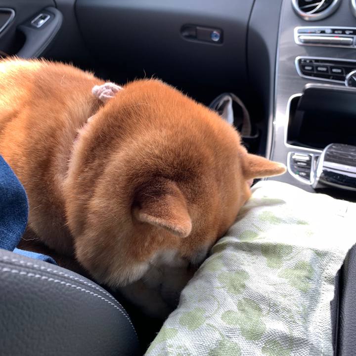 F2df1292 019b 4c19 8228 671f74568d73 1624017681756