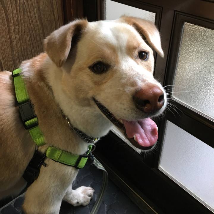 F2df1e5d 4f2c 471e 9e34 4b8de9b75af8 1526633187579