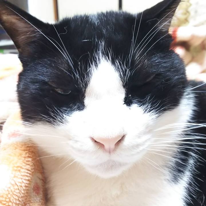 F2df26ce e949 4293 9373 3a1ccc6bf848 1561326564032