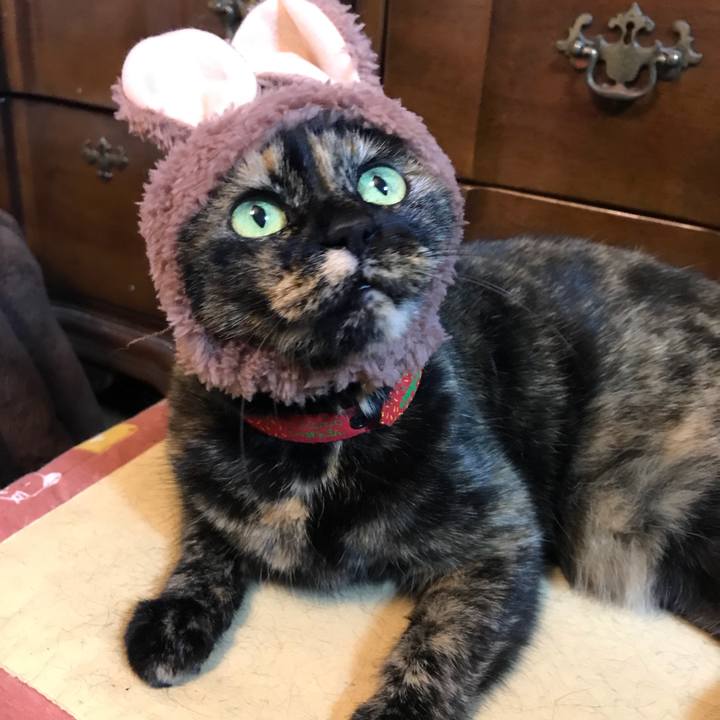 F2df329a 05e5 495d 90e1 2c88dda61d5a 1518608702357