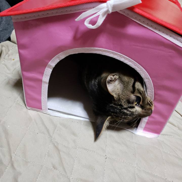 F2df5af9 3d98 4dc6 b2ca 7ce648bde388 1545380855738