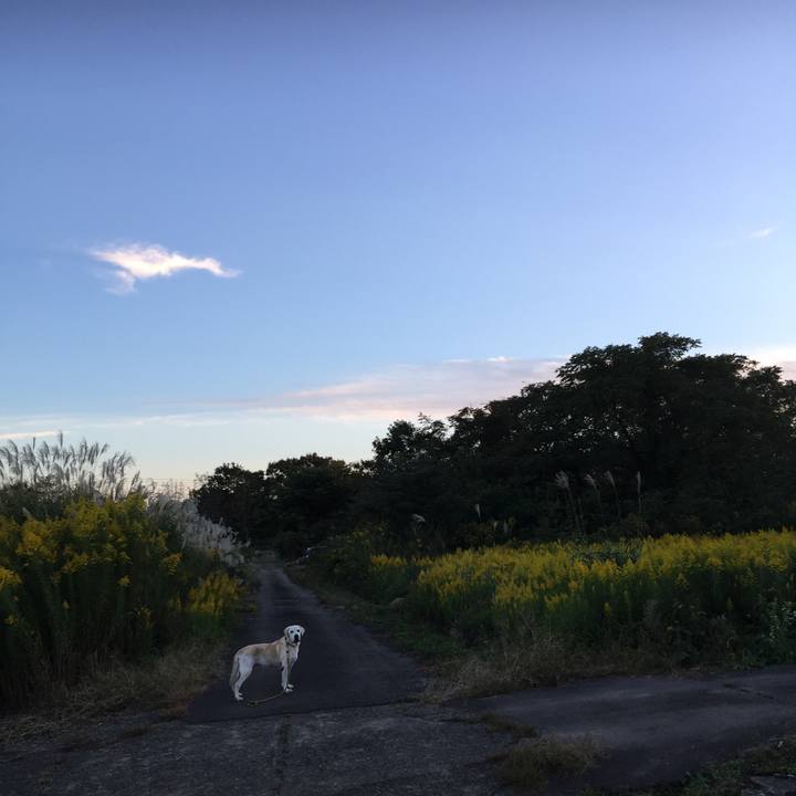 F2df6e63 a8e0 4167 b17c a206d4052bf9 1540284846988