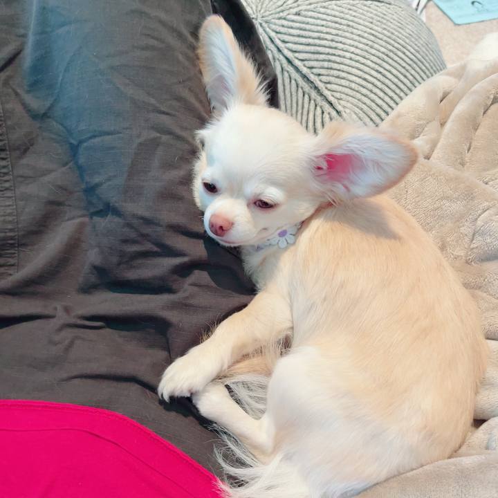 F2df8f52 6a7d 4d88 b23f c217f7d0c2be 1687950667344