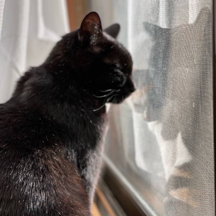 F2dfb759 57d1 46fe b711 df594c1af415 1643249594992