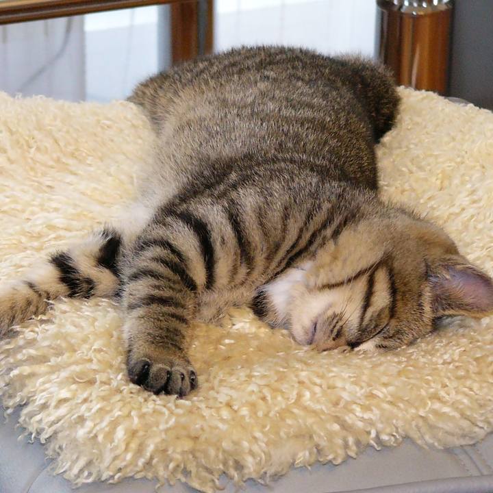 F2dfb9ba b663 4422 8c5b f67b911fb24c 1610498479095