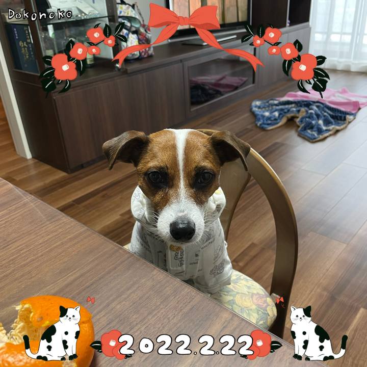 F2dfbde2 0492 4b66 a660 cbbca97f151e 1645510023451