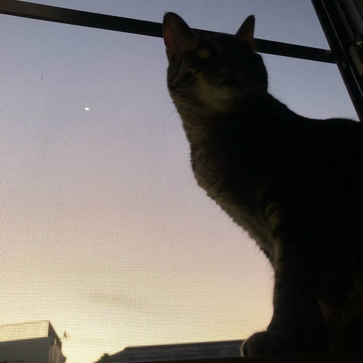 F2dfcee0 4bdb 49a9 b2e0 dbecdff144e5 1633252508047