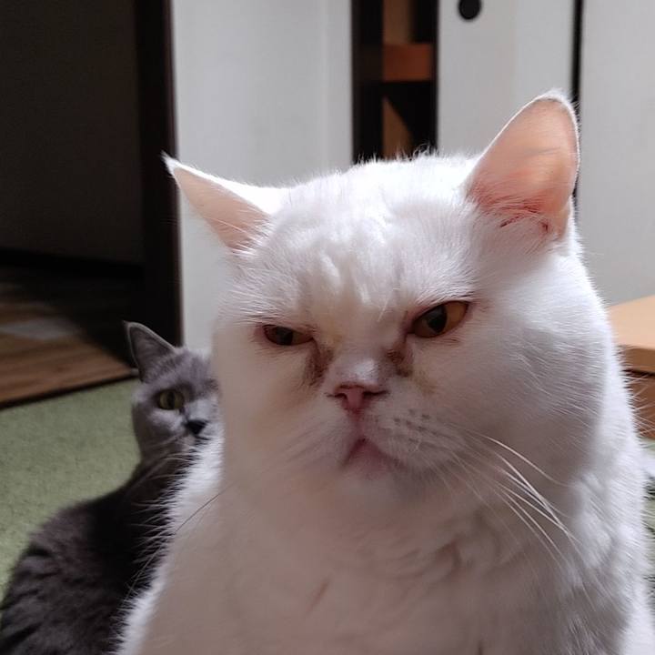 F2dfe67a 3d4a 4c12 88a5 bd58b9d3111a 1727607627380