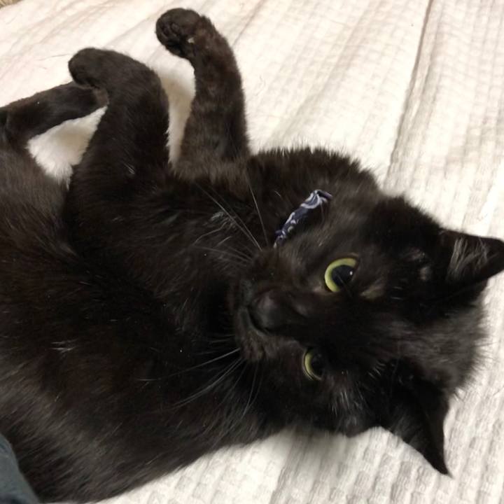 F2e04b6a a997 46eb ba5c 9f77cf50185a 1584534882708